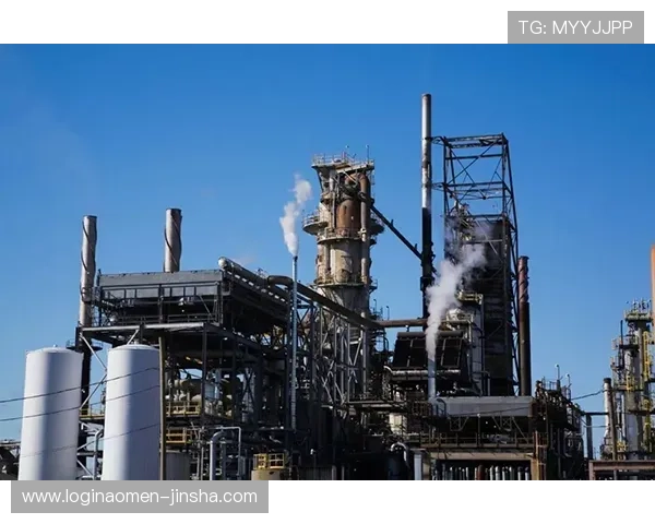 澳门金沙公司应对行业挑战的创新解决方案与风险管理措施