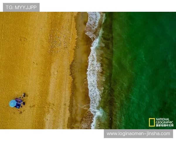 金沙990手机最新版本的兼容性和稳定性提升情况详解 金沙990手机最新版本的兼容性和稳定性提升情况详解