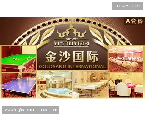 金沙国际是干嘛的详细介绍及其主要业务范围解析