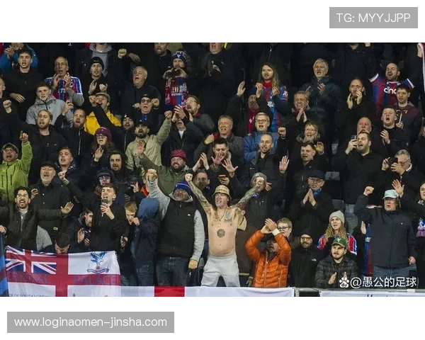 水晶宫足球队队员官网为球迷提供的专属视频集锦与精彩集锦回放