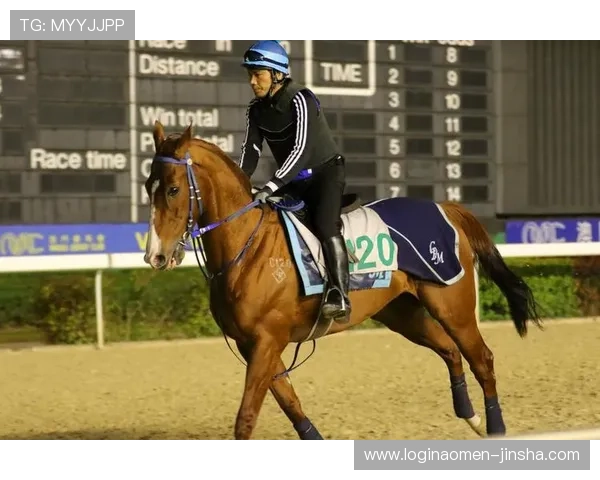 澳门赛马排位表与赛马资料新闻汇总，最新排名变化及赛事亮点一站式掌握